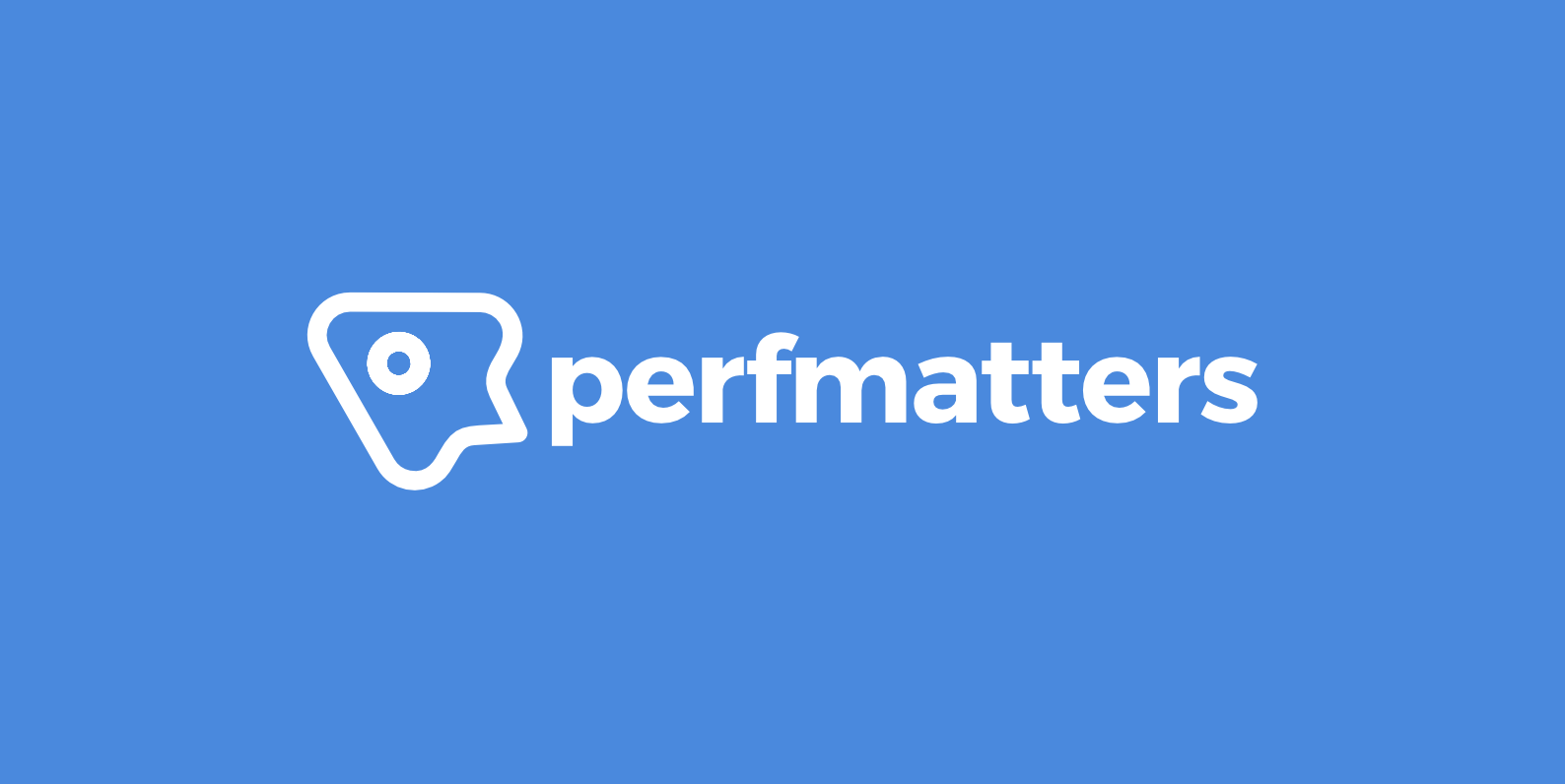 Perfmatters Wordpress Performance Plugin